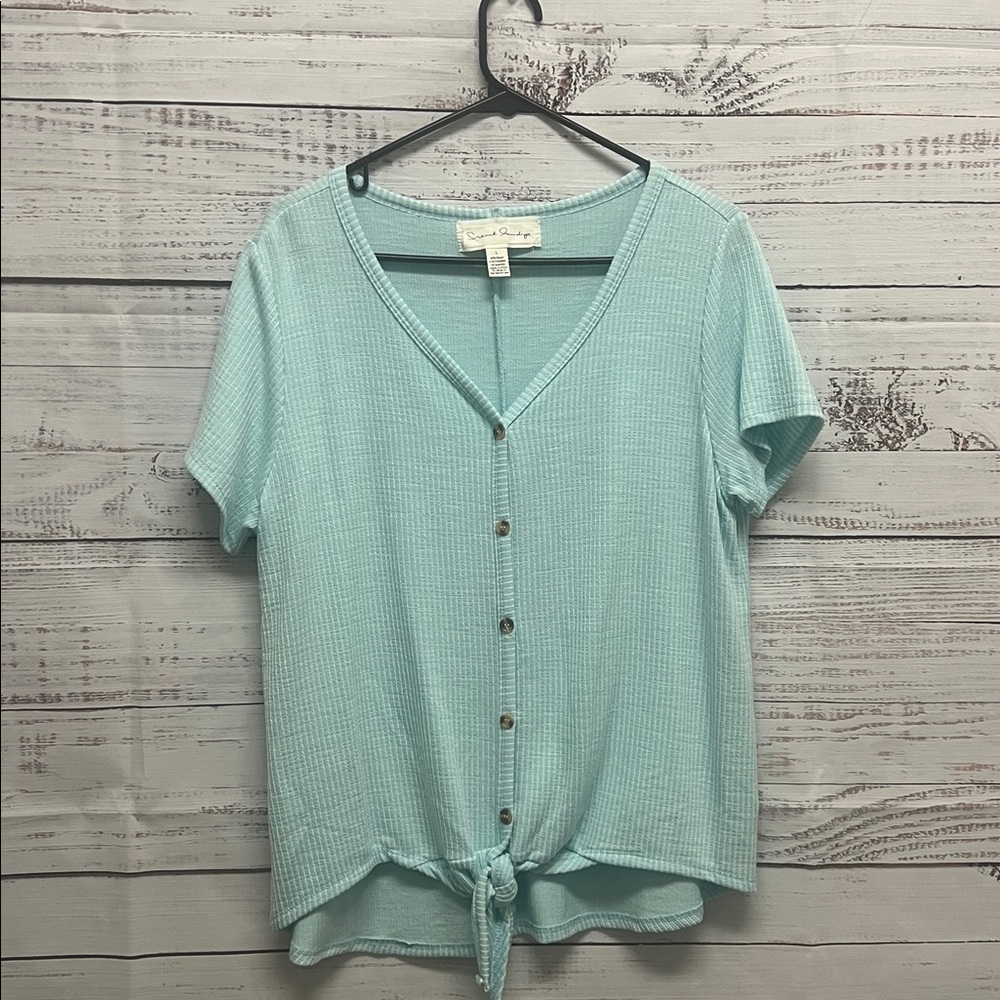 French Laundry Aqua Button-Down Shirt